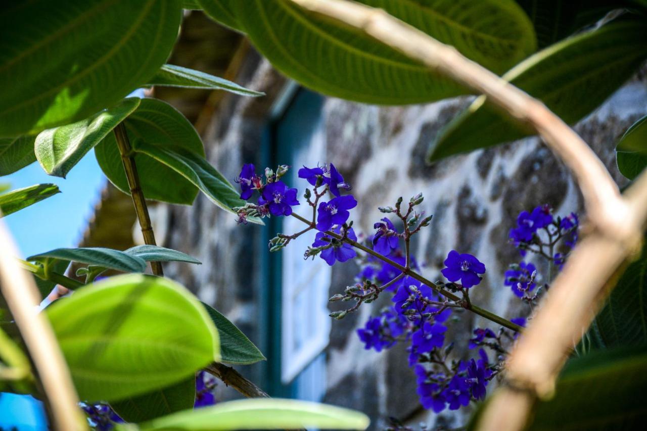 Quinta Dos Frutos Villa Santa Cruz da Graciosa Ngoại thất bức ảnh