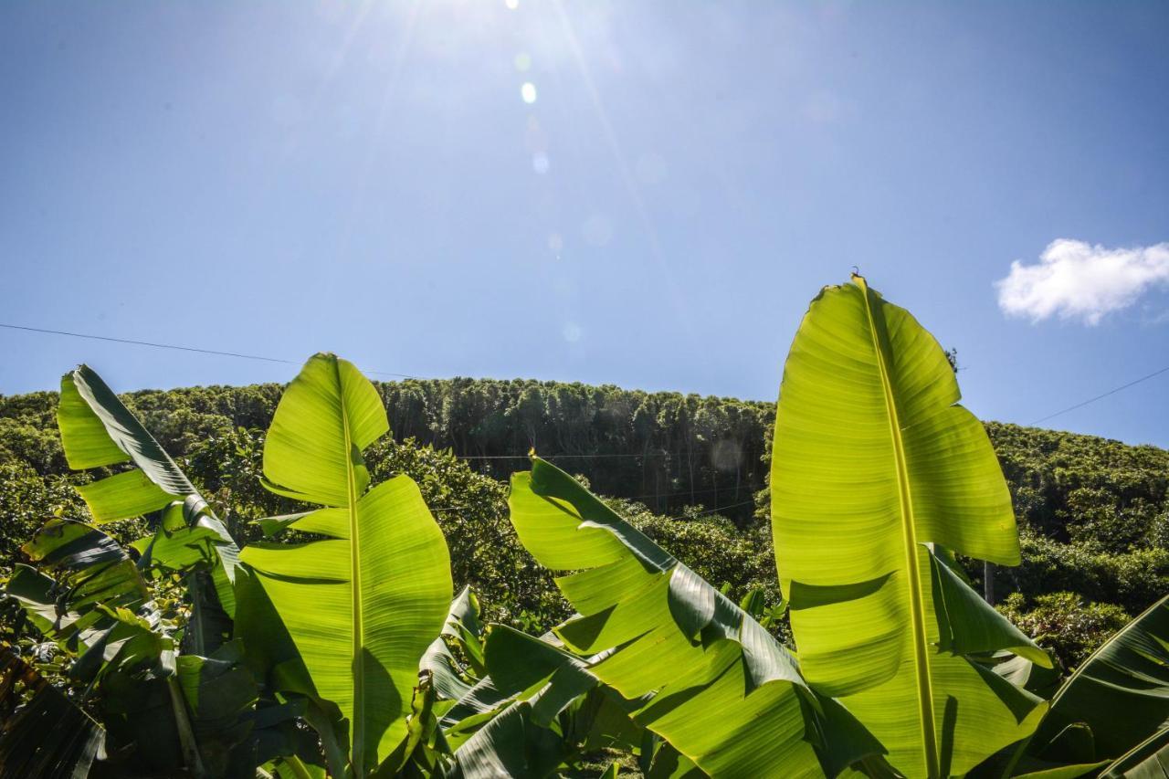 Quinta Dos Frutos Villa Santa Cruz da Graciosa Ngoại thất bức ảnh