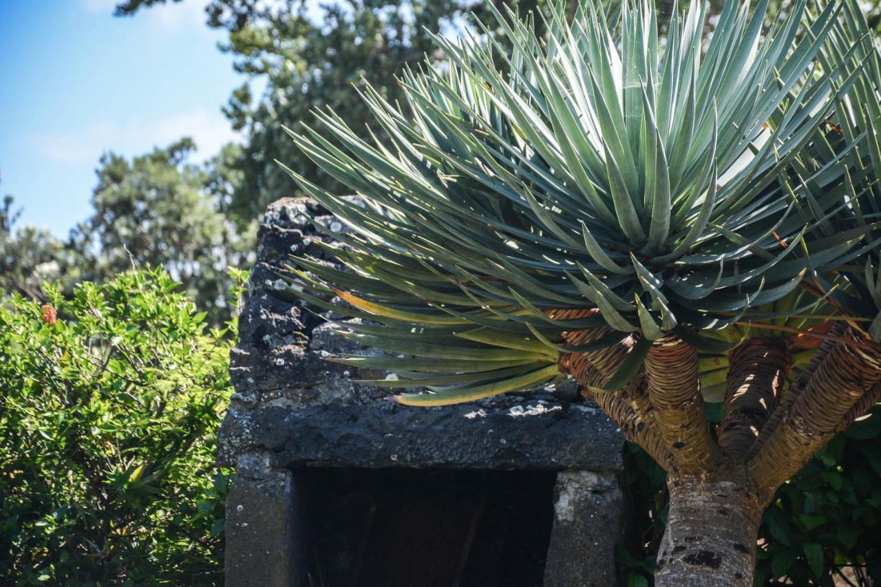 Quinta Dos Frutos Villa Santa Cruz da Graciosa Ngoại thất bức ảnh