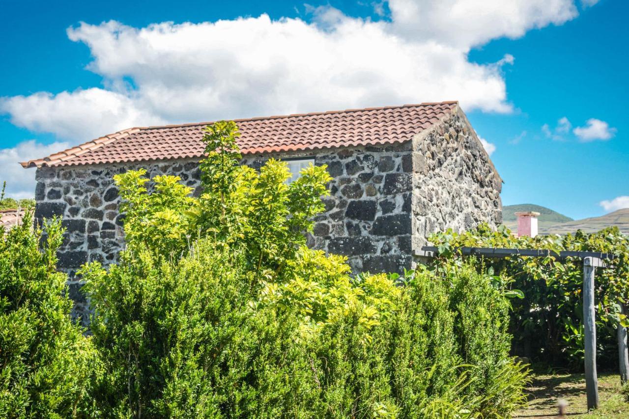 Quinta Dos Frutos Villa Santa Cruz da Graciosa Ngoại thất bức ảnh